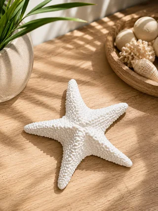 Escultura Estrella de Mar