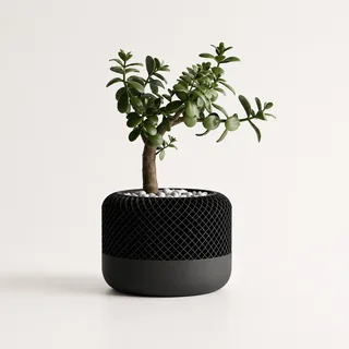 Maceta Minimalista Decorativa